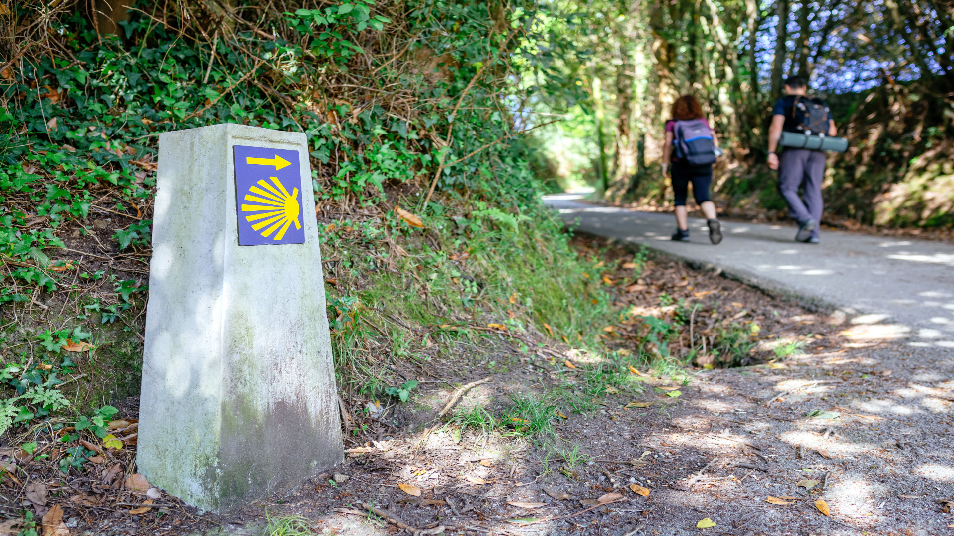 sarria-el-corazon-del-camino-de-santiago-en-lugo-1920.jpg