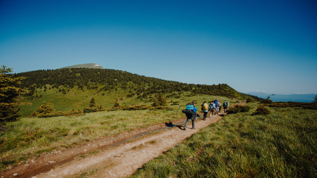 ¿Cómo afectaron los incendios al Camino de Santiago?