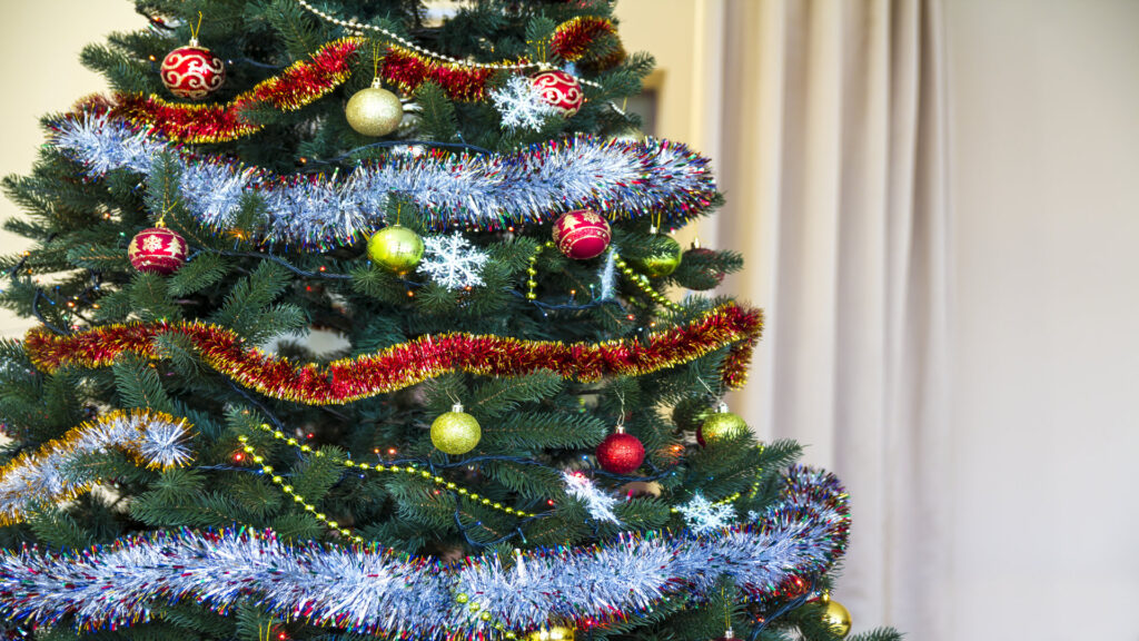 Curiosidades de la Navidad